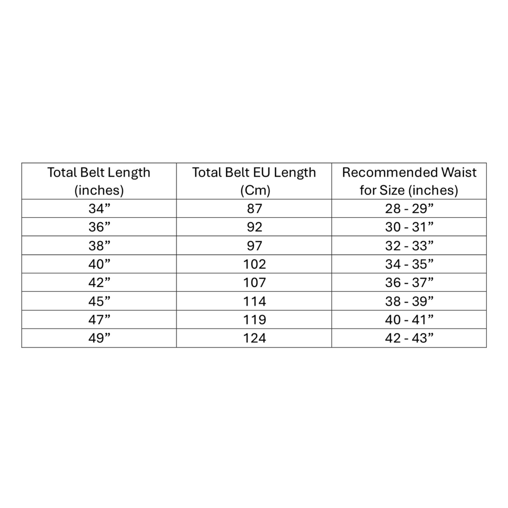 CEINTURE CARPE SCRIPT « ARGENT »